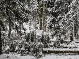 2018 - Winterfreizeit